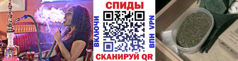 купить цена дарк нет как зайти Бутират 1.4BDO Нерехта