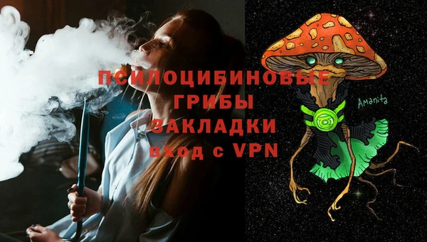 PSILOCYBIN Верея