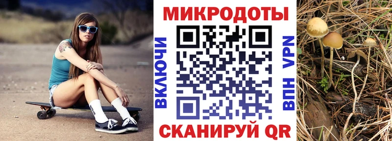 Псилоцибиновые грибы мухоморы  Нерехта 