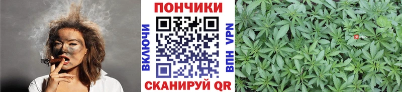что такое наркотик  kraken рабочий сайт  МАРИХУАНА тримм  Нерехта 